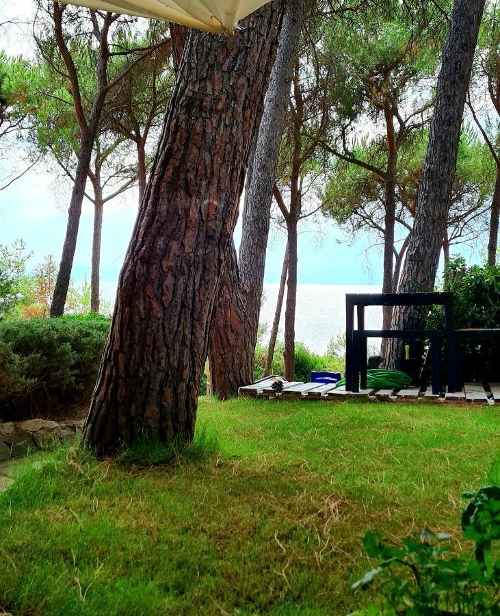 Seafront Marina Bay Appartement Terra Mala Buitenkant foto